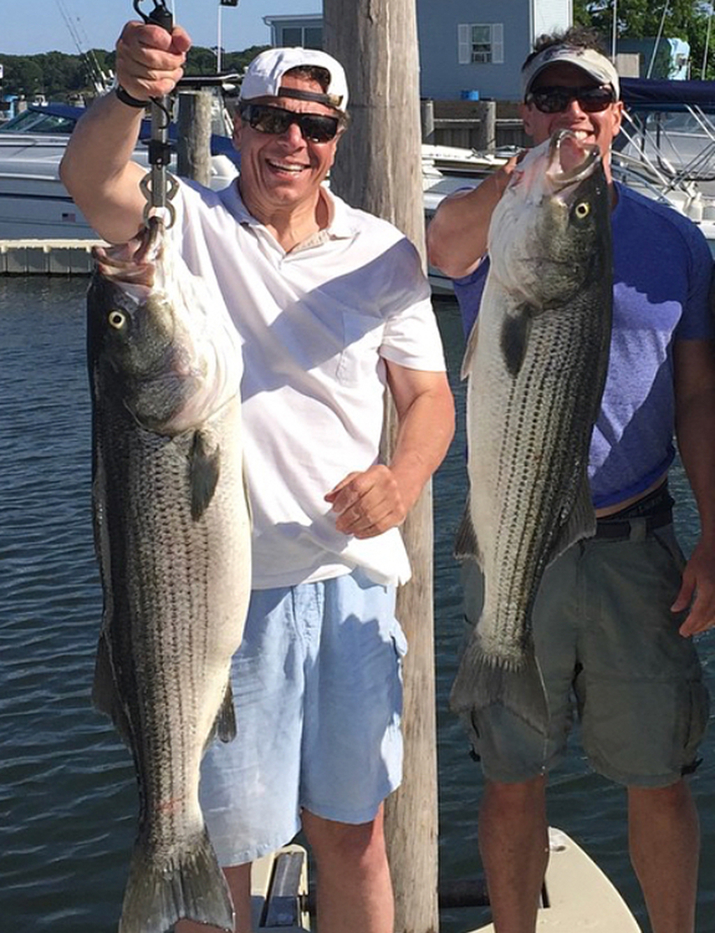Cuomo Cuomo brothers, Chris Cuomo, Andrew Cuomo Cuomo Cuomo brothers, Chris Cuomo, Andrew Cuomo